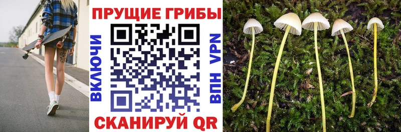 Галлюциногенные грибы GOLDEN TEACHER Верхняя Тура